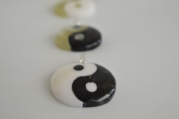 Dije Ying Yang de piedras combinadas