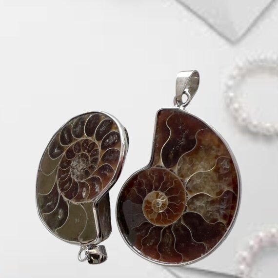 Dije Espiral de Amonite